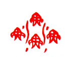 甲骨文 渔