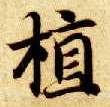楷书 植
