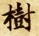 楷书 树