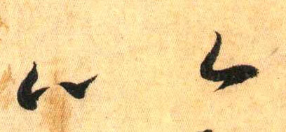 草书 以