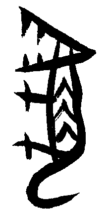甲骨文 虎