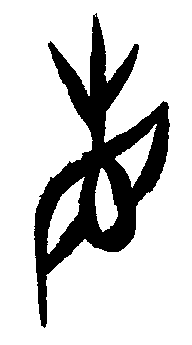 甲骨文 省