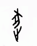 甲骨文 逐