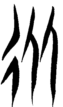 甲骨文 从