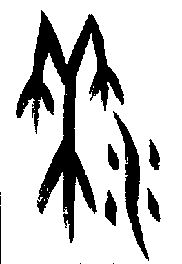 甲骨文 黍