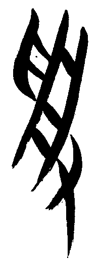 甲骨文 受