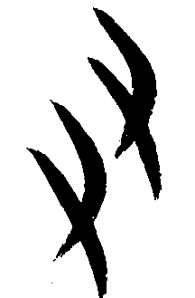 甲骨文界书法字帖作品欣赏