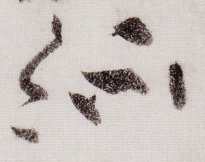 草书 流