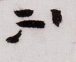 草书 不