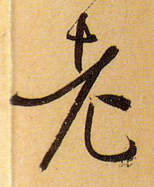 草书 老