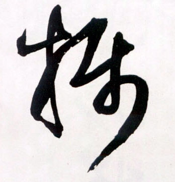 草书 摄