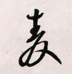 草书 麦