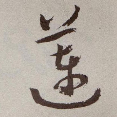草书 莲