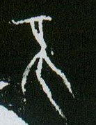 甲骨文 不