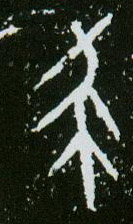 甲骨文 杀