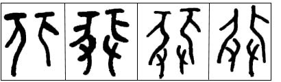 甲骨文 非