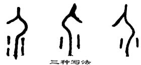 甲骨文 介
