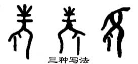 甲骨文 老