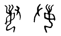甲骨文 妻