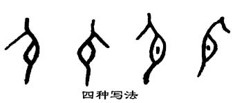 甲骨文 身