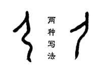 甲骨文 尸