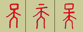 甲骨文 天