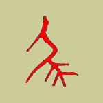 甲骨文 尾
