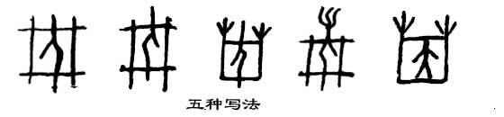 甲骨文 因