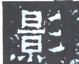 楷书 影