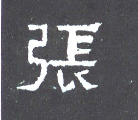 楷书 张
