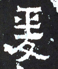 楷书 爰