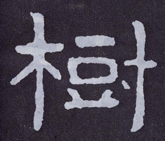 楷书 树
