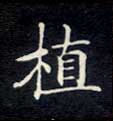 楷书 植
