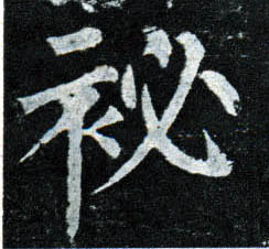 楷书 秘