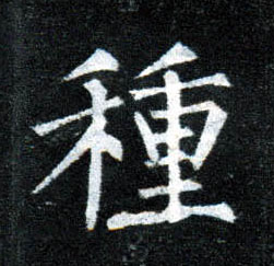 楷书 种【種】