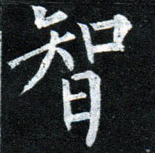 楷书 智