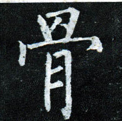 楷书 骨
