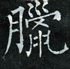 楷书 腊