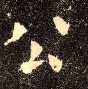 楷书 公