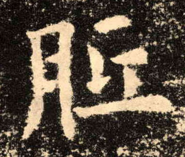 楷书 胝