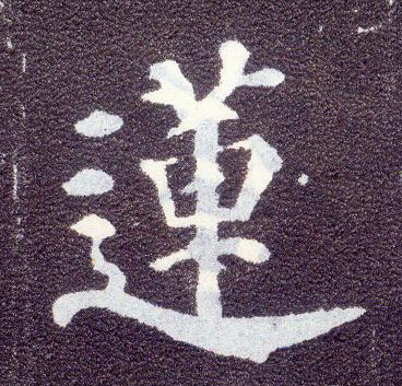 楷书 莲