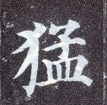 楷书 猛