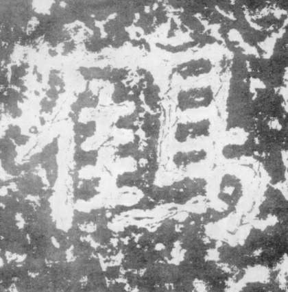 楷书 鹤