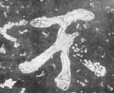 楷书 不