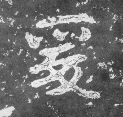 楷书 爰