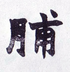 楷书 脯