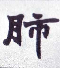 楷书 肺