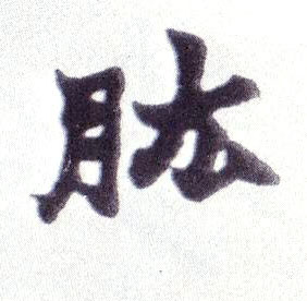 楷书 肱