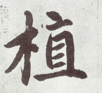 楷书 植