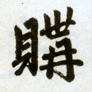 楷书 购